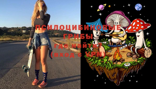 бошки Алексеевка